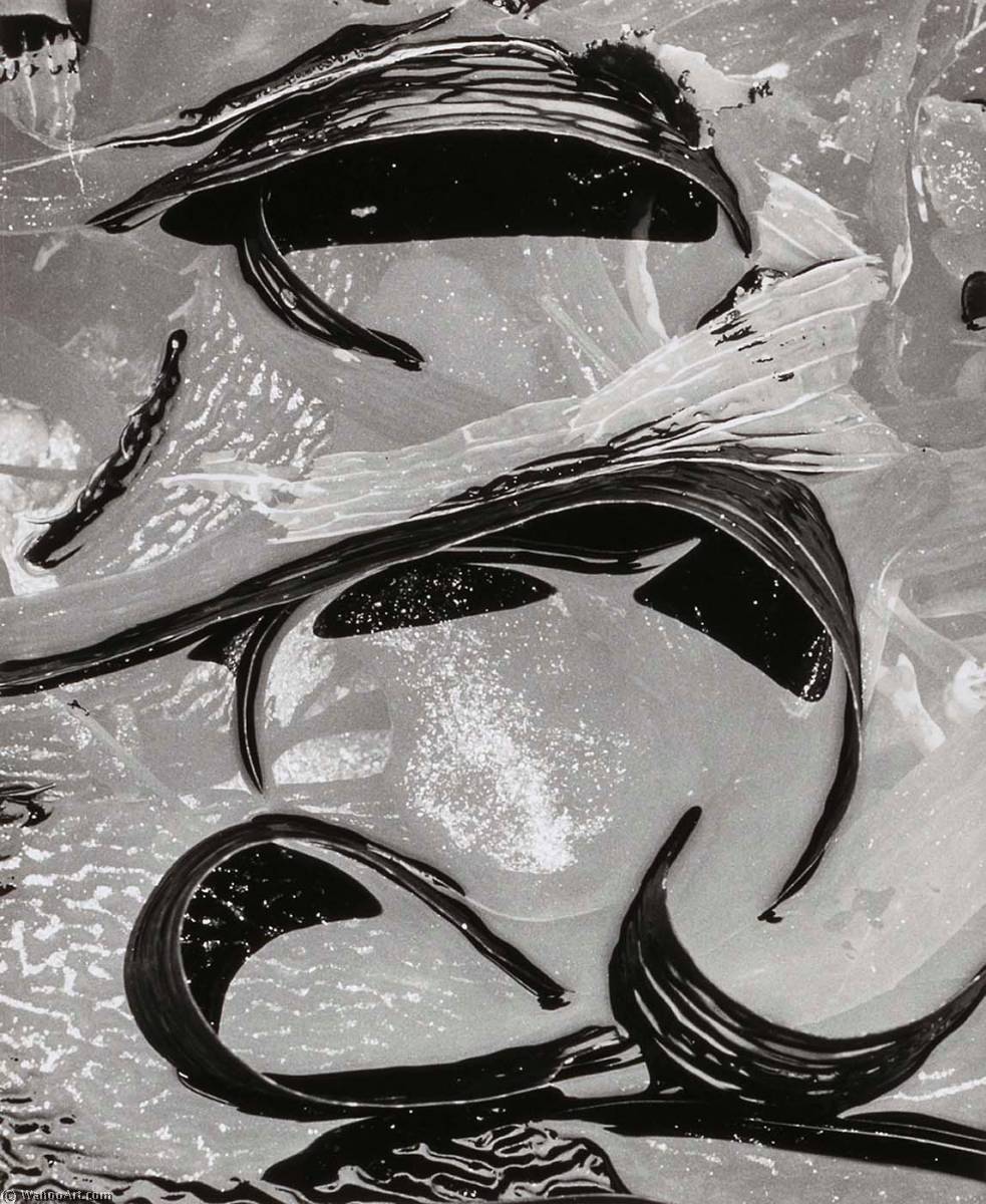 WikiOO.org - Encyclopedia of Fine Arts - Lukisan, Artwork Brett Weston - Tide Pool