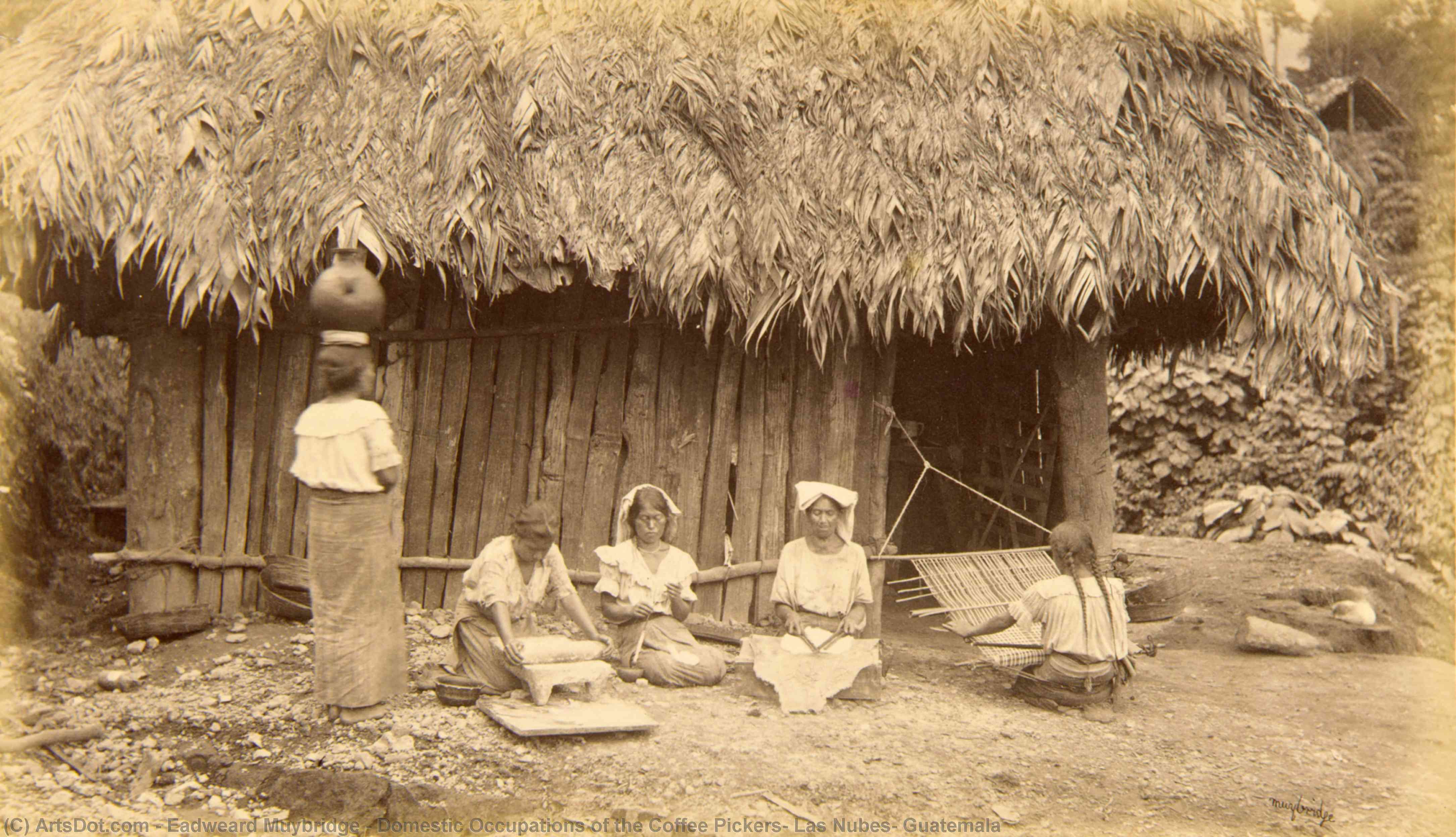 WikiOO.org - Enciclopedia of Fine Arts - Pictura, lucrări de artă Eadweard Muybridge - Domestic Occupations of the Coffee Pickers, Las Nubes, Guatemala