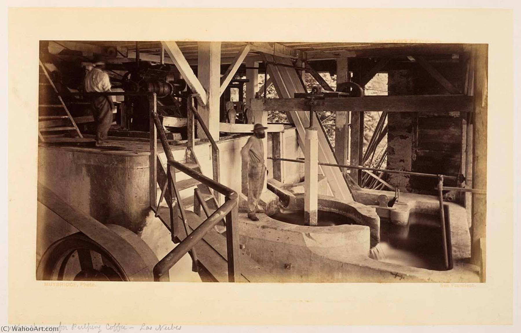 Wikoo.org - موسوعة الفنون الجميلة - اللوحة، العمل الفني Eadweard Muybridge - Machinery for Pulping Coffee Las Nubes