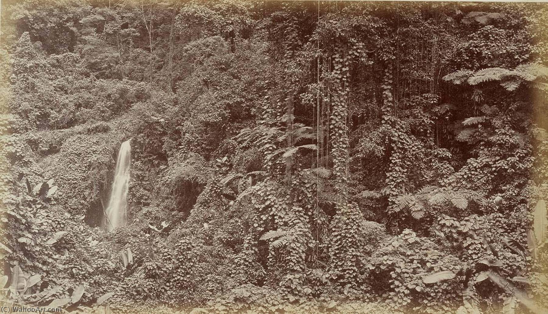 WikiOO.org - Encyclopedia of Fine Arts - Lukisan, Artwork Eadweard Muybridge - Falls of the Oroyo Delia Las Nubes, Guatemala
