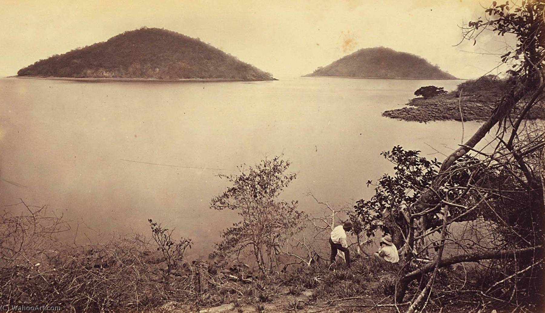 WikiOO.org - Enciclopedia of Fine Arts - Pictura, lucrări de artă Eadweard Muybridge - Perico and Flamenco from Island of Naos, Panama