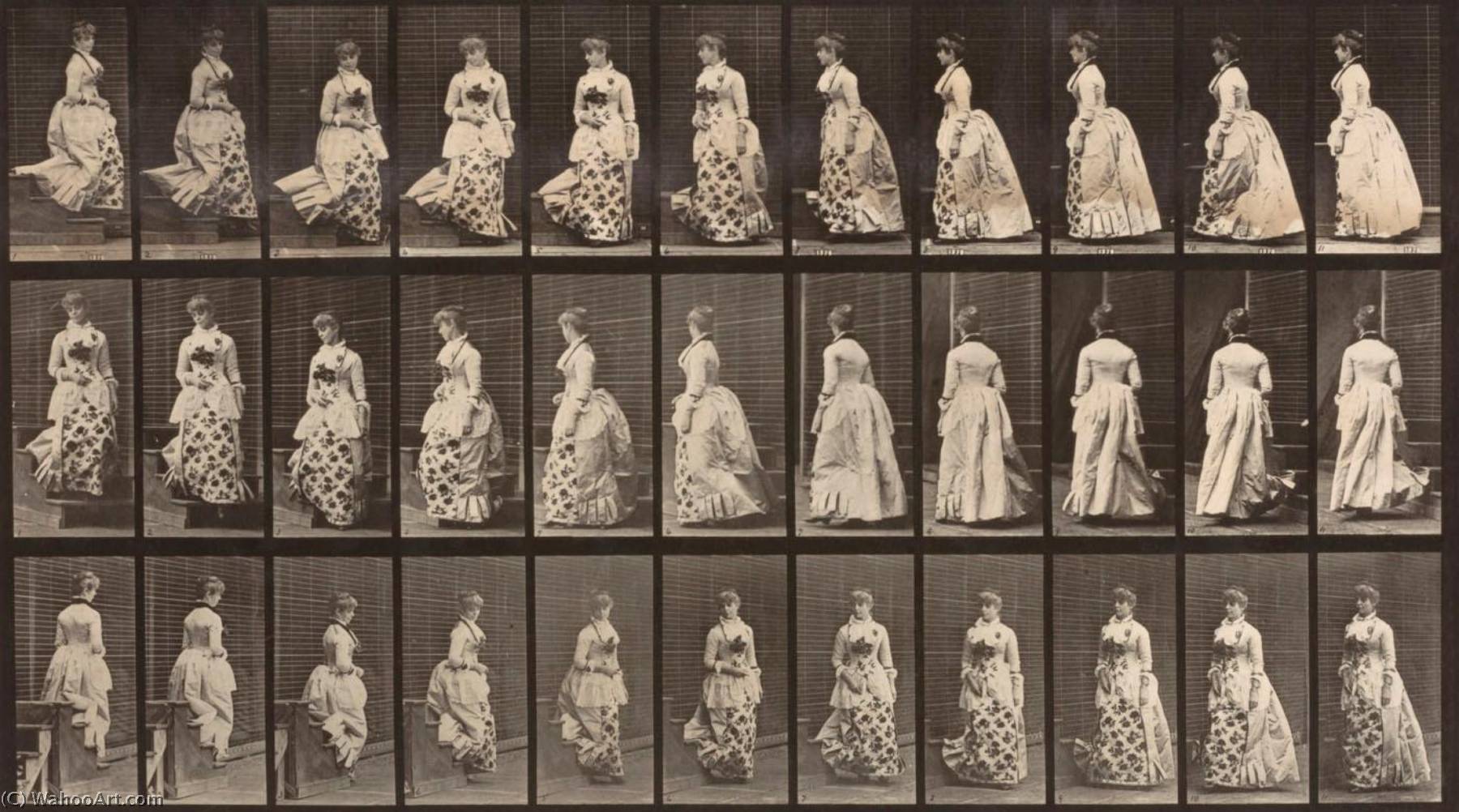 Wikioo.org - The Encyclopedia of Fine Arts - Painting, Artwork by Eadweard Muybridge - Descending Stairs and Turning, from the book Animal Locomotion