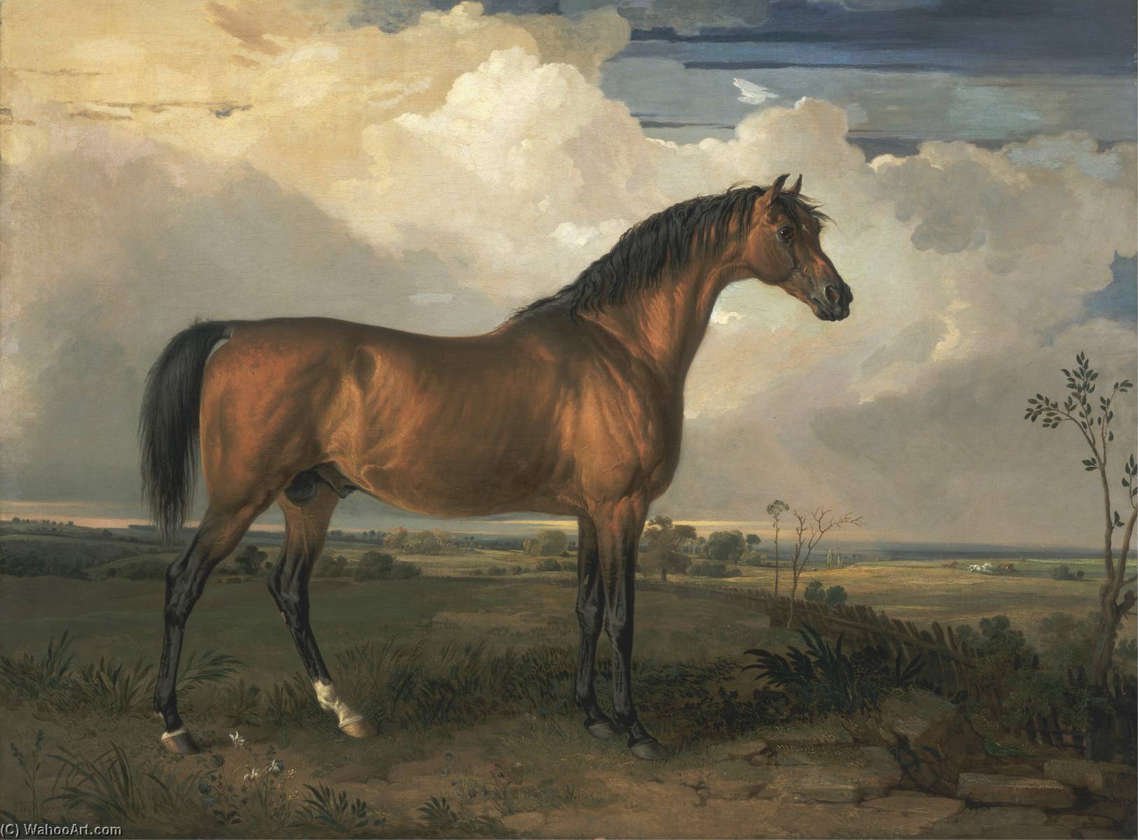 Wikioo.org - The Encyclopedia of Fine Arts - Painting, Artwork by James Ward - Eagle, a Celebrated Stallion