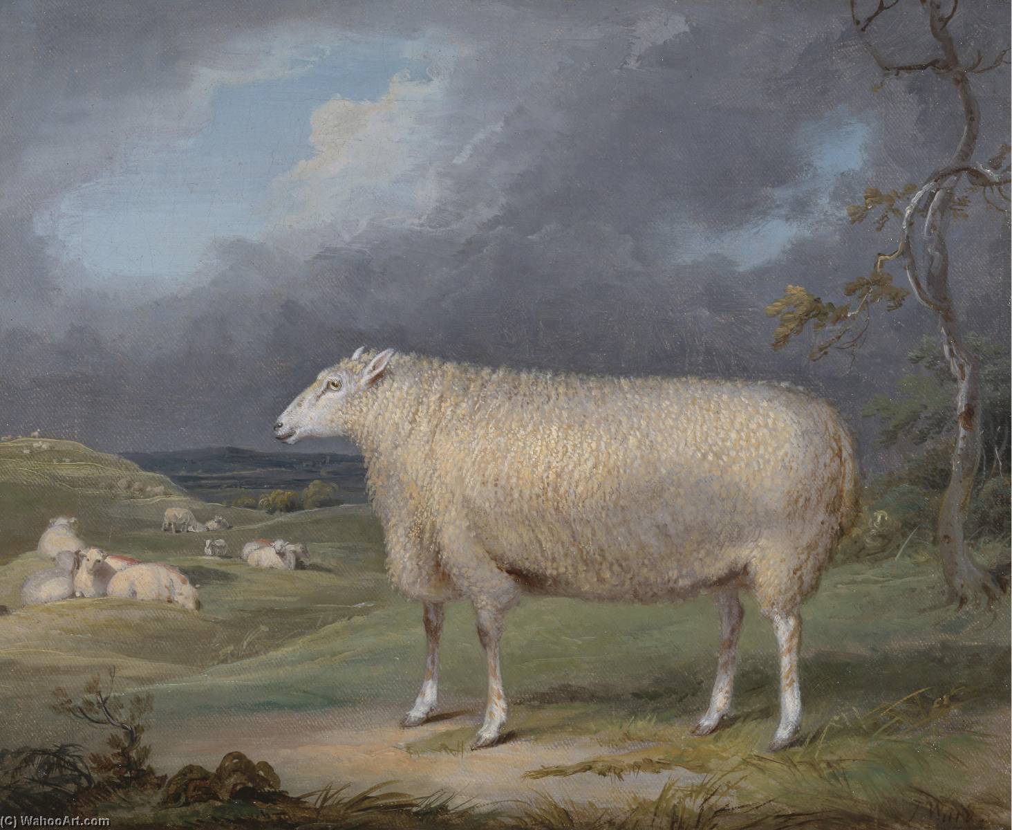 Wikioo.org - The Encyclopedia of Fine Arts - Painting, Artwork by James Ward - A Border Leicester Ewe