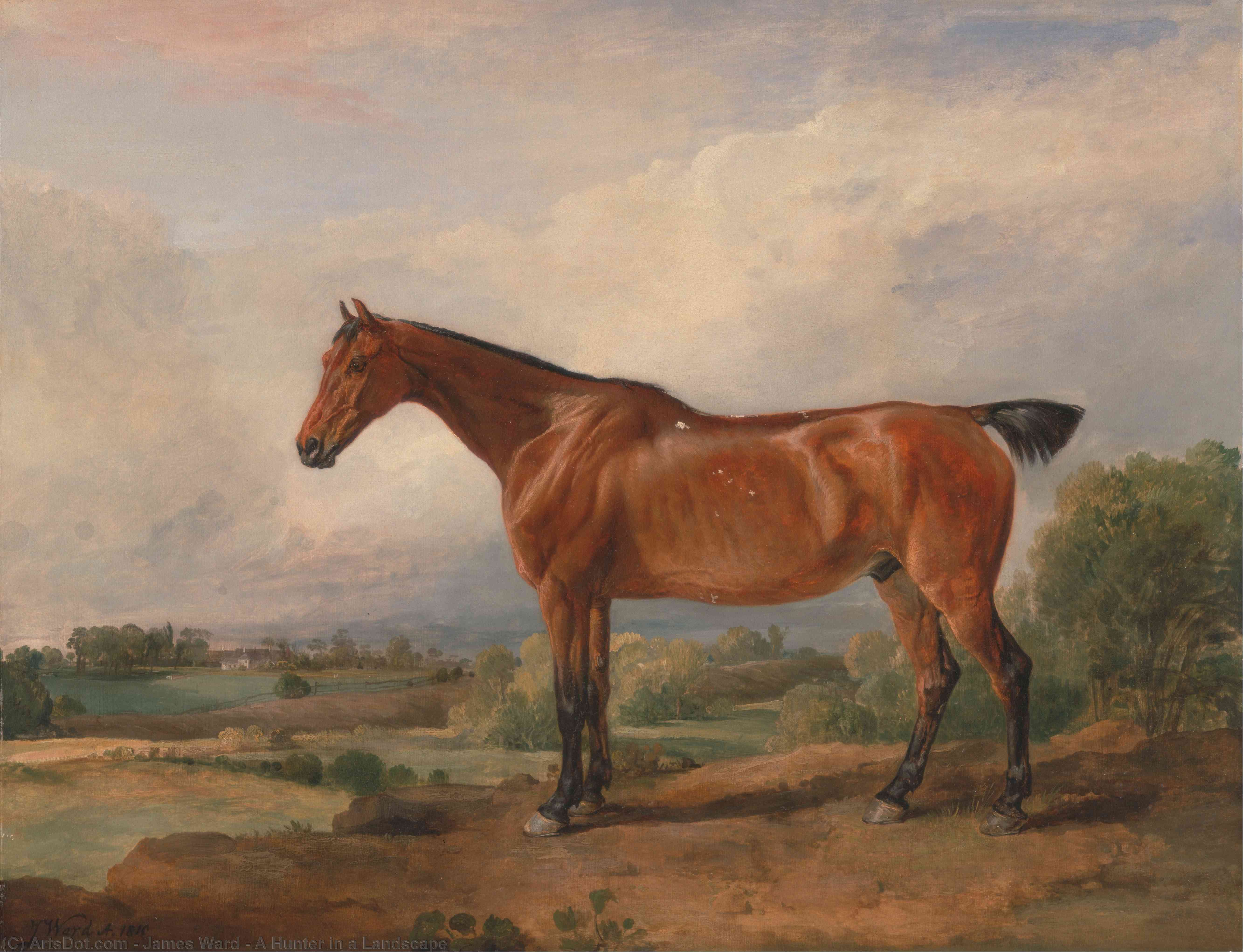 WikiOO.org - אנציקלופדיה לאמנויות יפות - ציור, יצירות אמנות James Ward - A Hunter in a Landscape