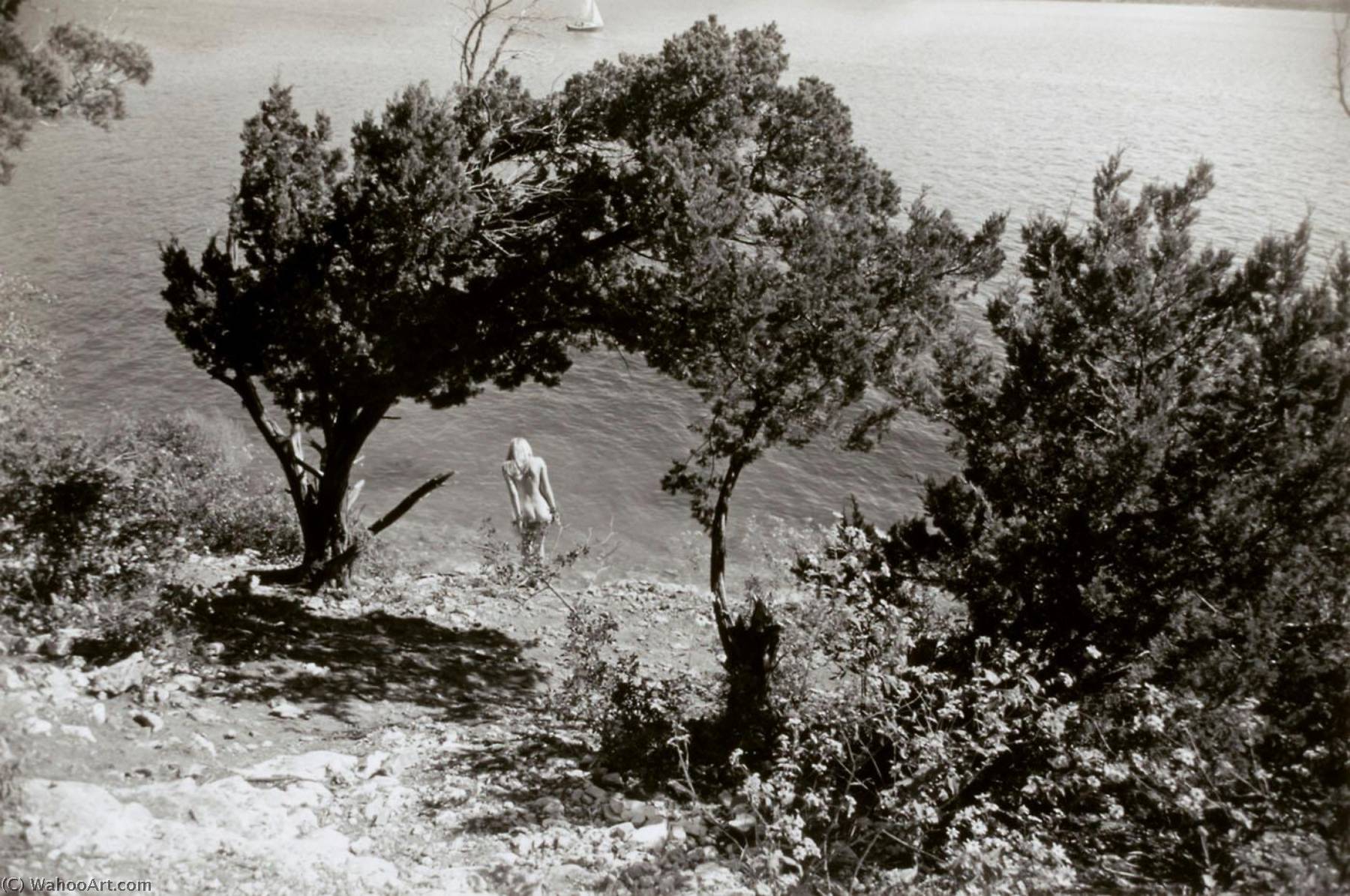 Wikioo.org - The Encyclopedia of Fine Arts - Painting, Artwork by Garry Winogrand - Hippy Hollow, Lake Travis, Austin, Texas