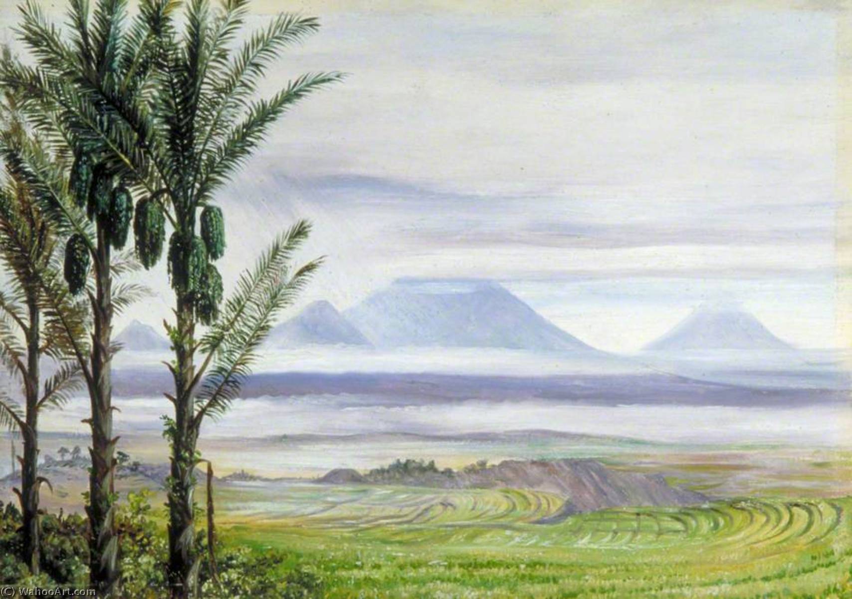 WikiOO.org - 백과 사전 - 회화, 삽화 Marianne North - Volcanoes from Temangong with Sugar Palms in the Foreground, Java