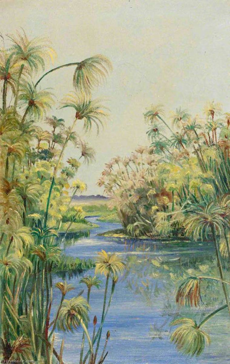 WikiOO.org - Encyclopedia of Fine Arts - Schilderen, Artwork Marianne North - Papyrus along the River Margins