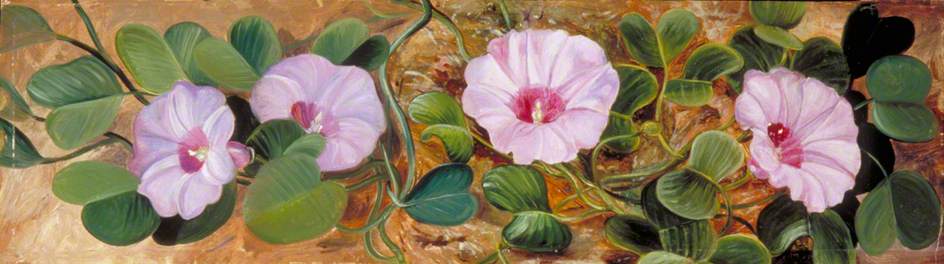 Wikioo.org - The Encyclopedia of Fine Arts - Painting, Artwork by Marianne North - A Sand Binding Plant of Tropical Shores