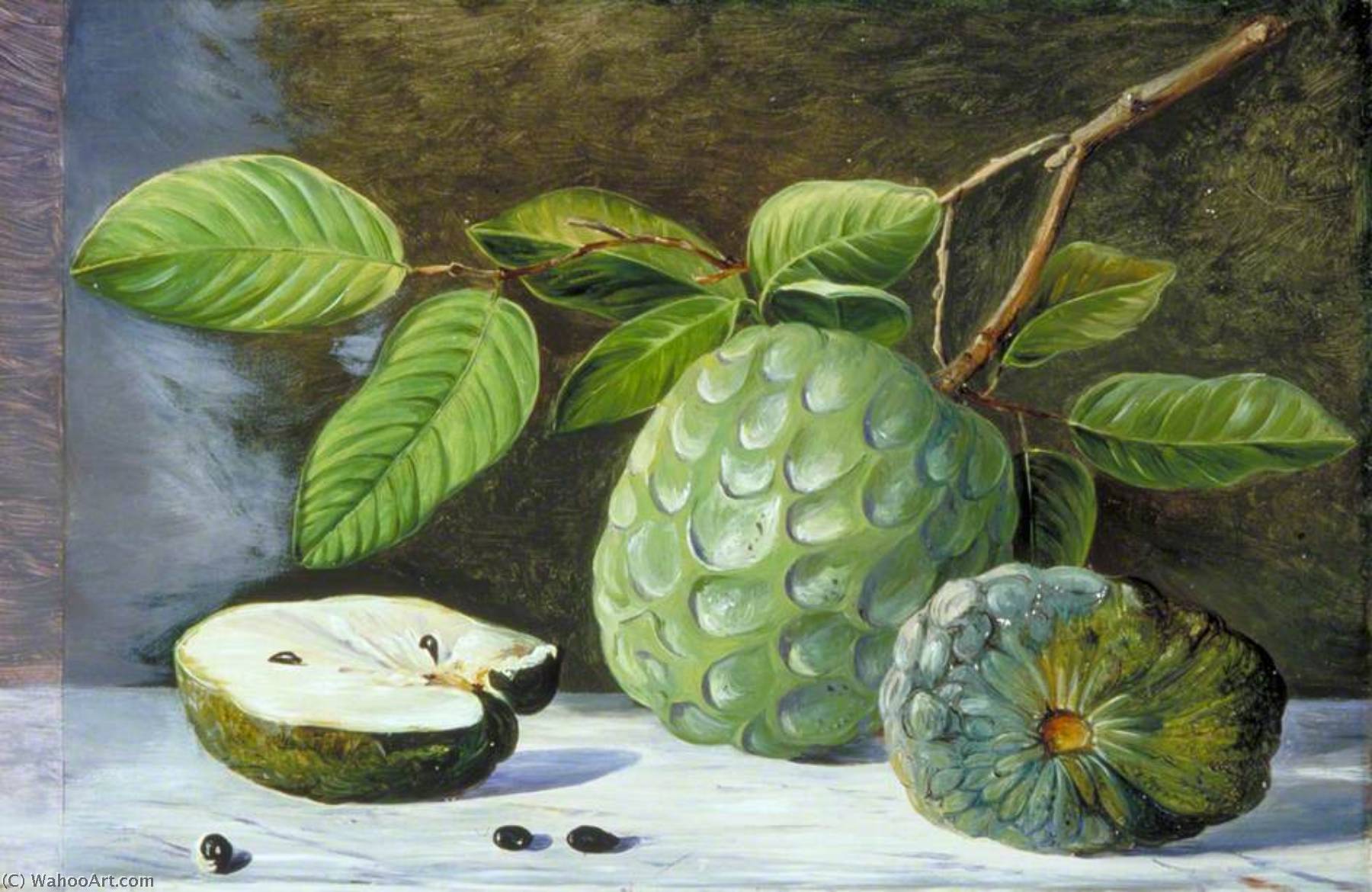 Wikioo.org - The Encyclopedia of Fine Arts - Painting, Artwork by Marianne North - Foliage and Fruit of the Cherimoyer
