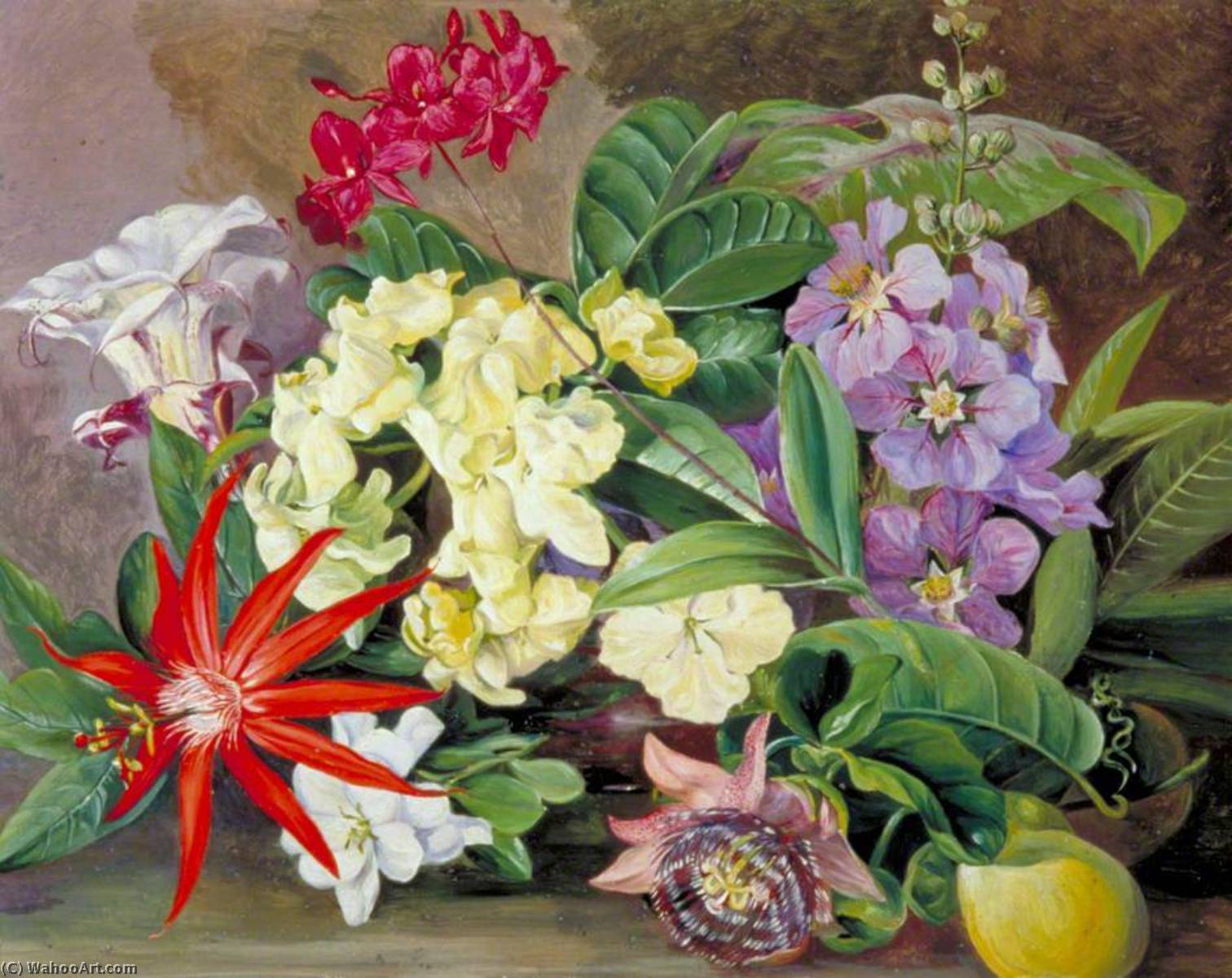 Wikioo.org - The Encyclopedia of Fine Arts - Painting, Artwork by Marianne North - Cultivated Flowers, Painted in Jamaica