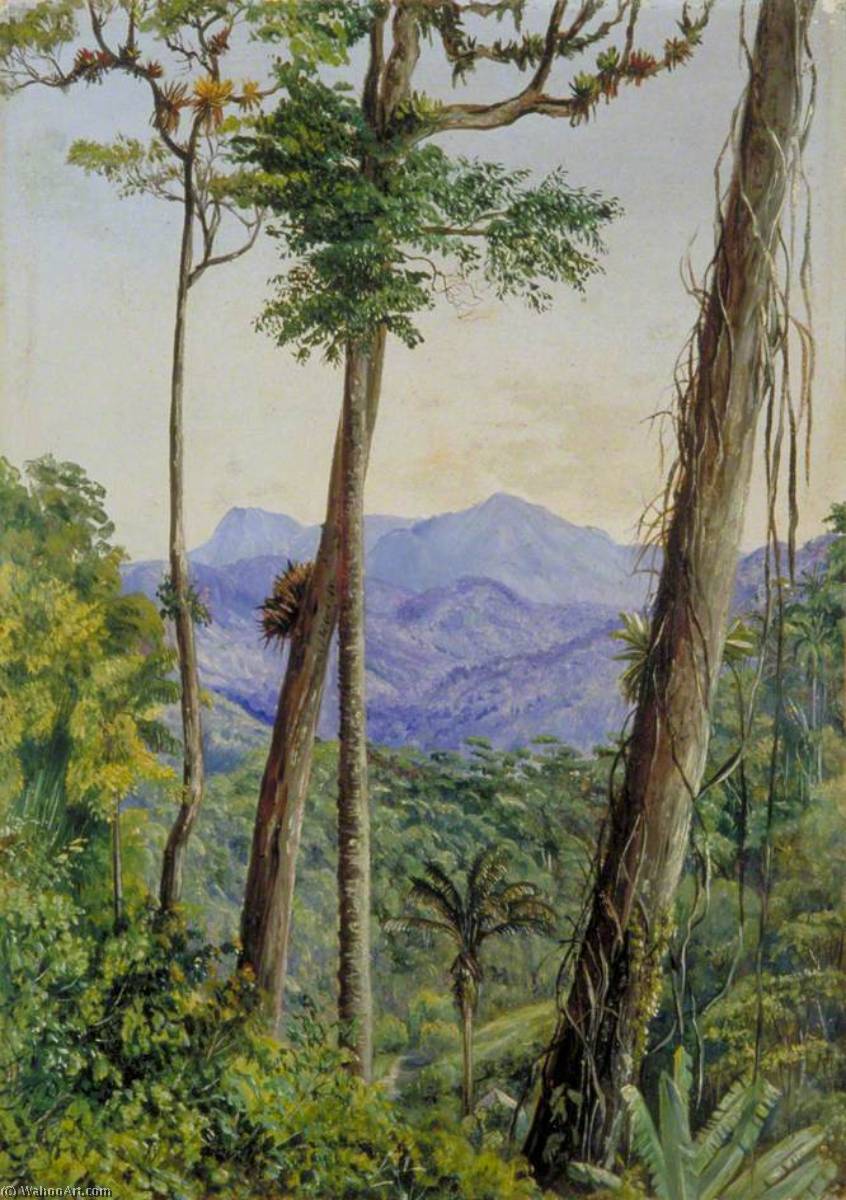 WikiOO.org - Encyclopedia of Fine Arts - Målning, konstverk Marianne North - View from Mr Weilhorn's House, Petropolis, Brazil