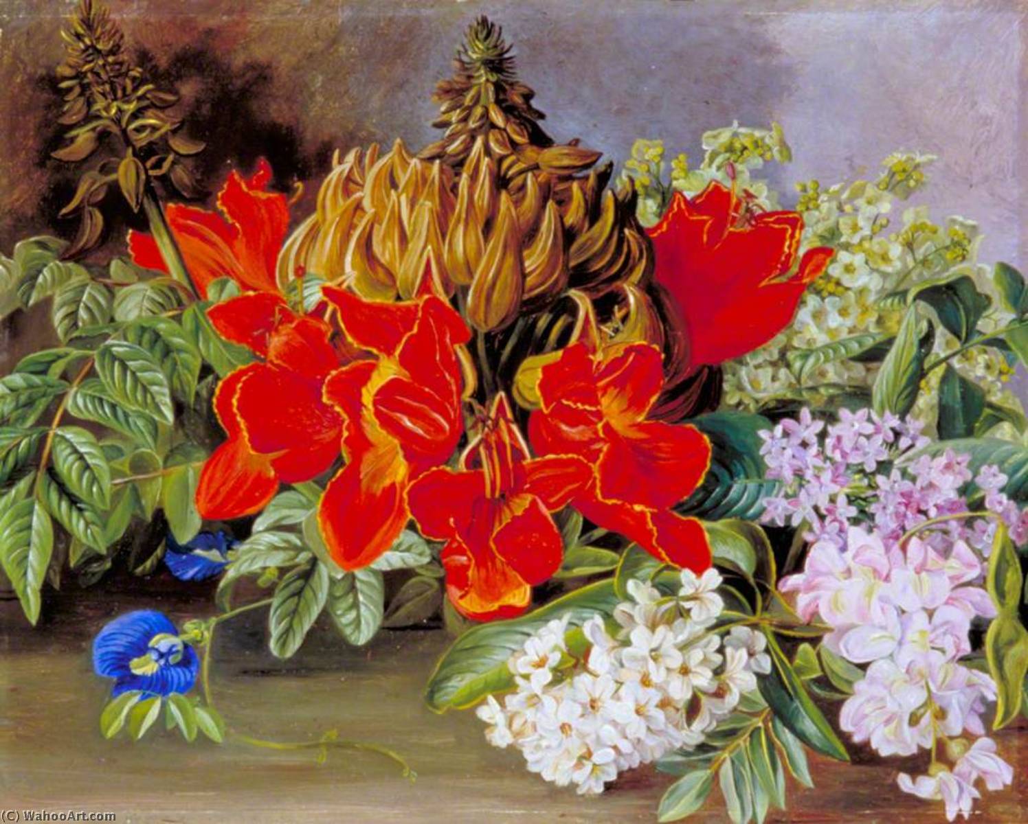 Wikioo.org - The Encyclopedia of Fine Arts - Painting, Artwork by Marianne North - Cultivated and Wild Flowers, Jamaica