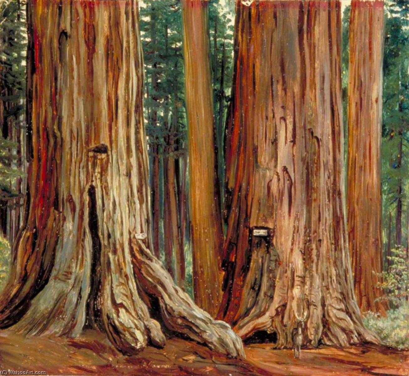 WikiOO.org - אנציקלופדיה לאמנויות יפות - ציור, יצירות אמנות Marianne North - 'Castor and Pollux' in the Calaveras Grove of Big Trees, California
