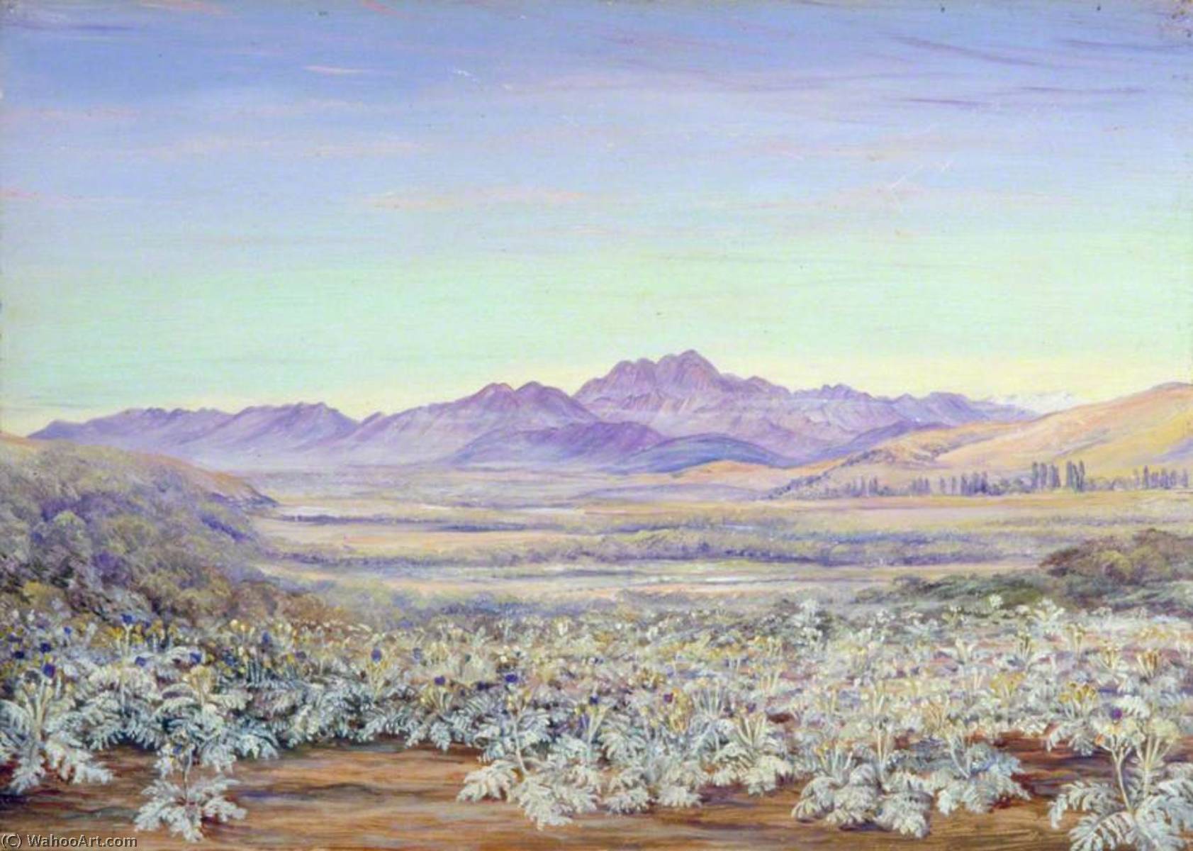 Wikioo.org - สารานุกรมวิจิตรศิลป์ - จิตรกรรม Marianne North - View of the Bell Mountain of Quillota, Chili, with Colonised Cardoons in the Foreground