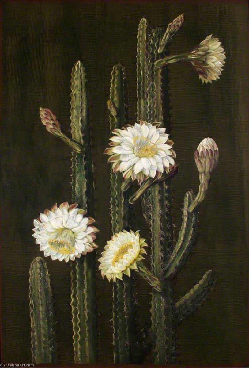Wikioo.org - The Encyclopedia of Fine Arts - Painting, Artwork by Marianne North - A Brazilian Columnar Cactus