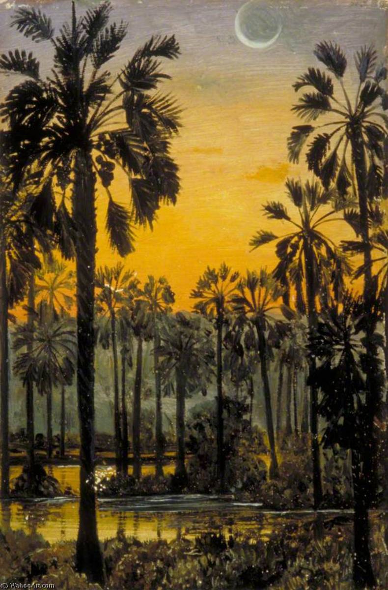Wikioo.org - The Encyclopedia of Fine Arts - Painting, Artwork by Marianne North - Palmyra Palms in Flood Time