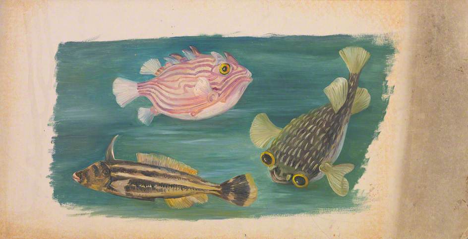 Wikioo.org - The Encyclopedia of Fine Arts - Painting, Artwork by Marianne North - Fishes