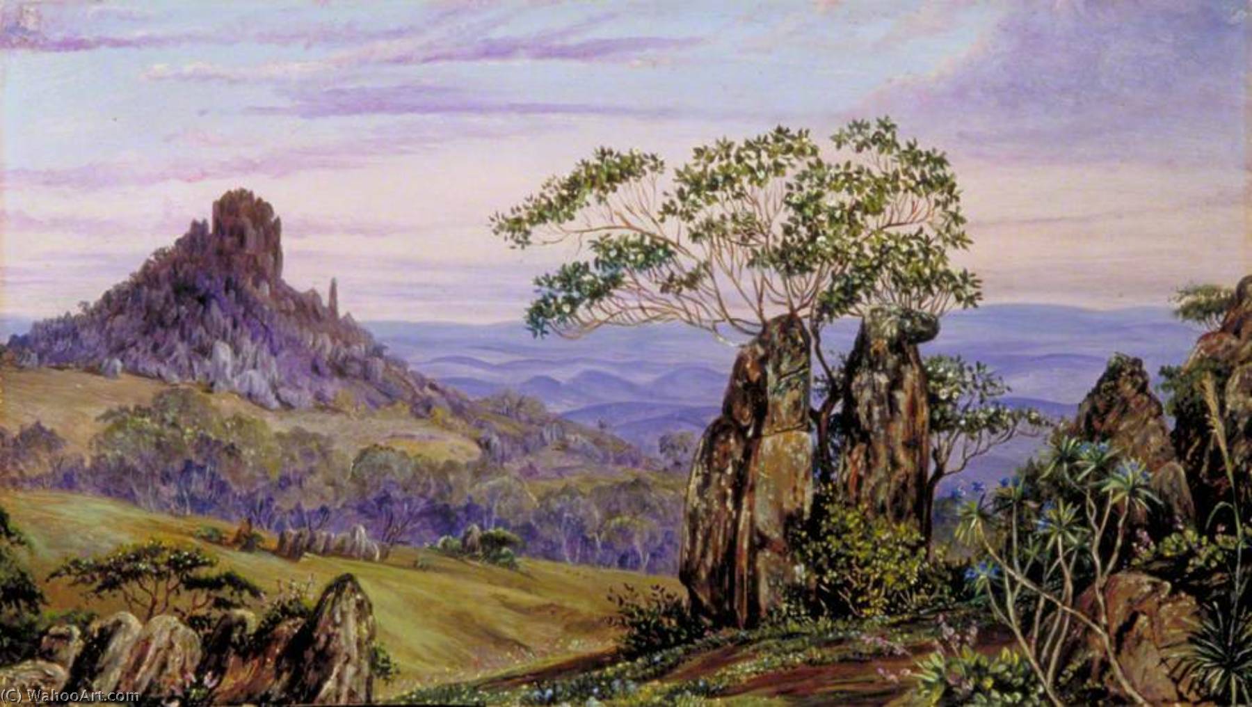 WikiOO.org - Encyclopedia of Fine Arts - Schilderen, Artwork Marianne North - The Iron Rocks of Casa Branca, Brazil