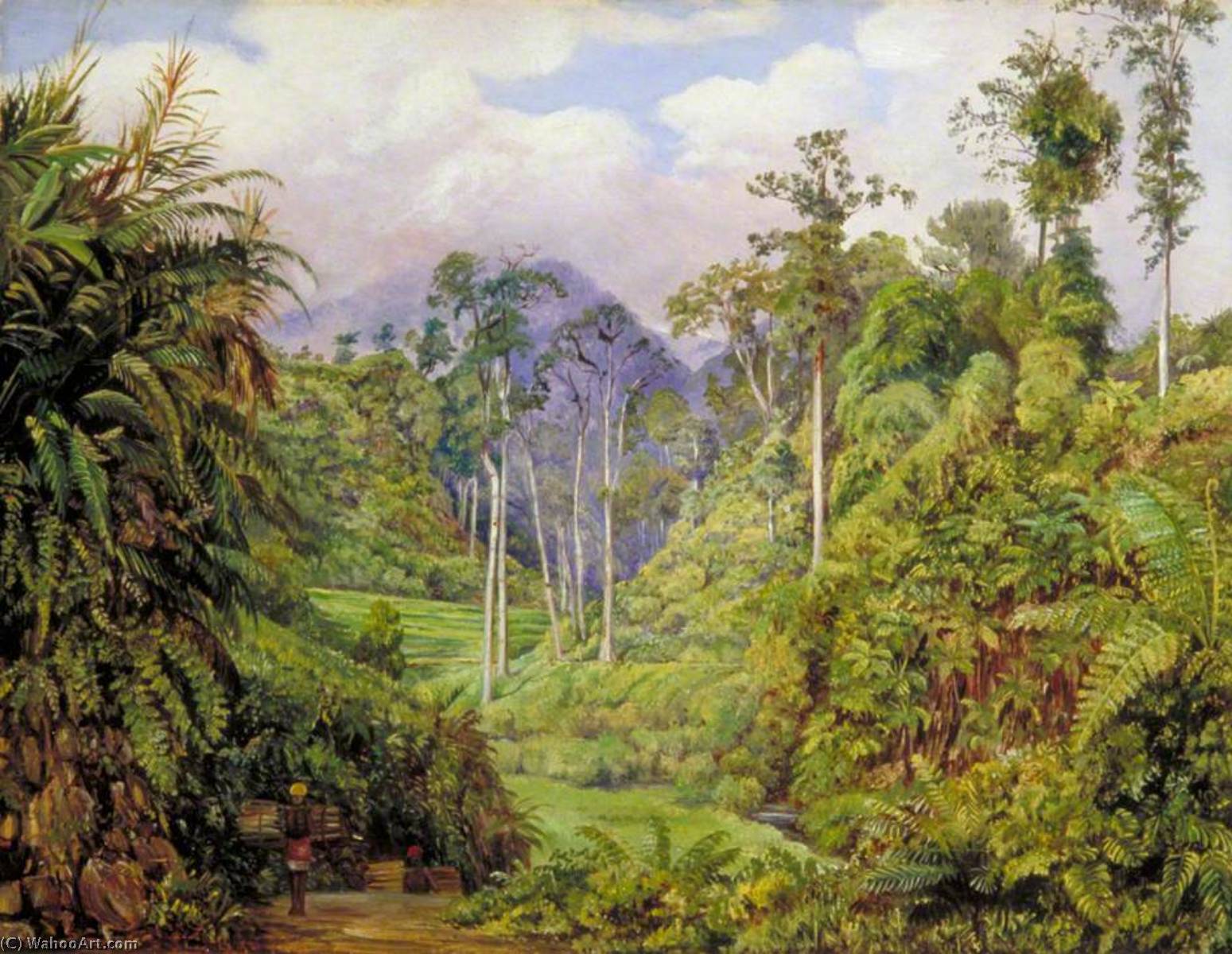 Wikioo.org - The Encyclopedia of Fine Arts - Painting, Artwork by Marianne North - A Clearing in the Forest of Tji Boddas, Java, with Bank of Tree Ferns