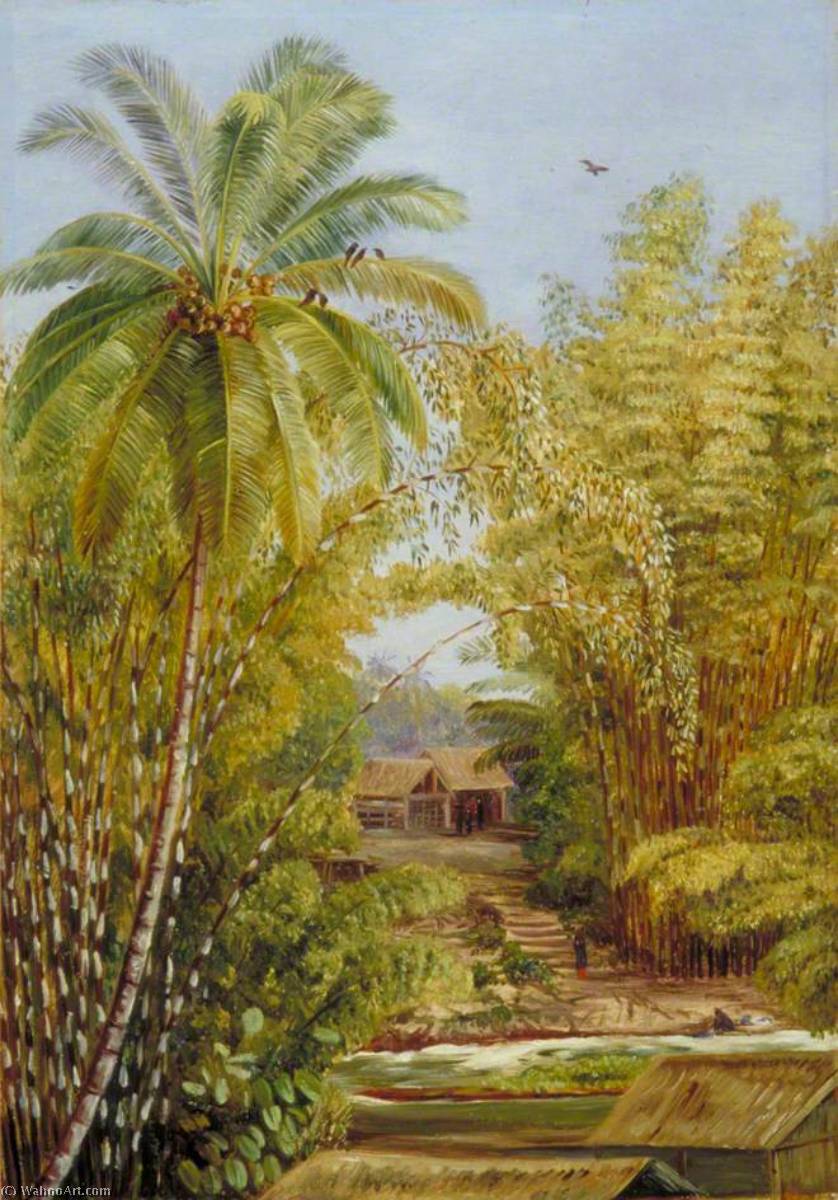 WikiOO.org - دایره المعارف هنرهای زیبا - نقاشی، آثار هنری Marianne North - Bamboos and Cocoanut Palm