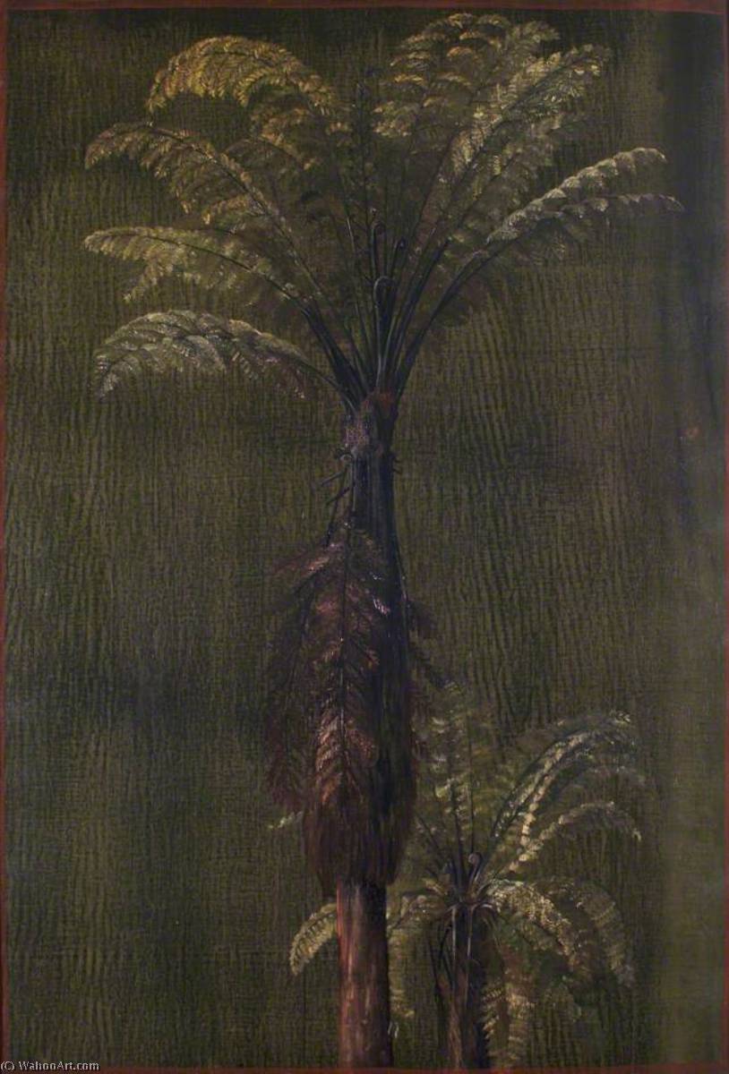 Wikioo.org - The Encyclopedia of Fine Arts - Painting, Artwork by Marianne North - A New Zealand Tree Fern