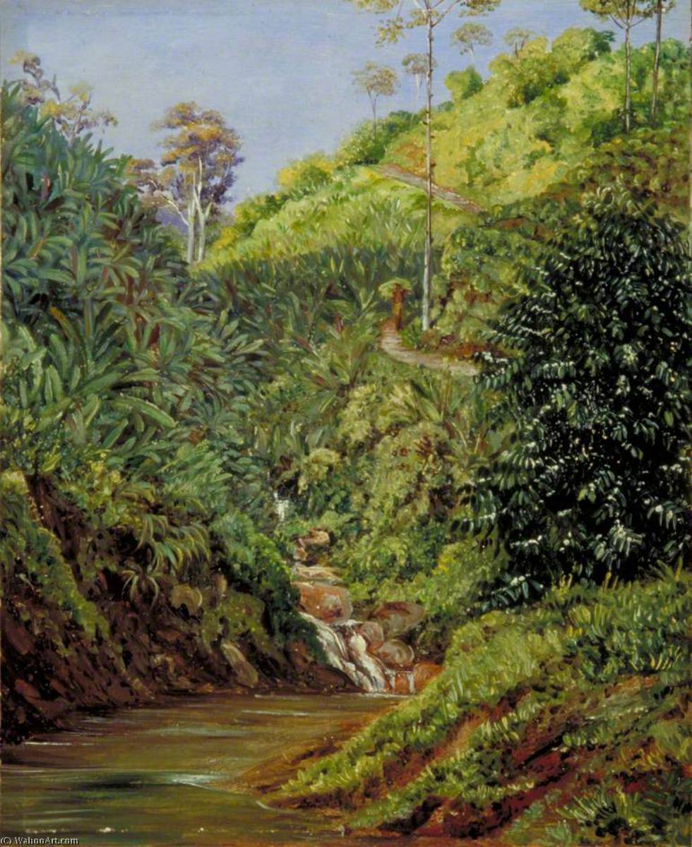 WikiOO.org - Enciclopedia of Fine Arts - Pictura, lucrări de artă Marianne North - View near Garoet, Java, Wild Bananas and Coffee Bushes in Front