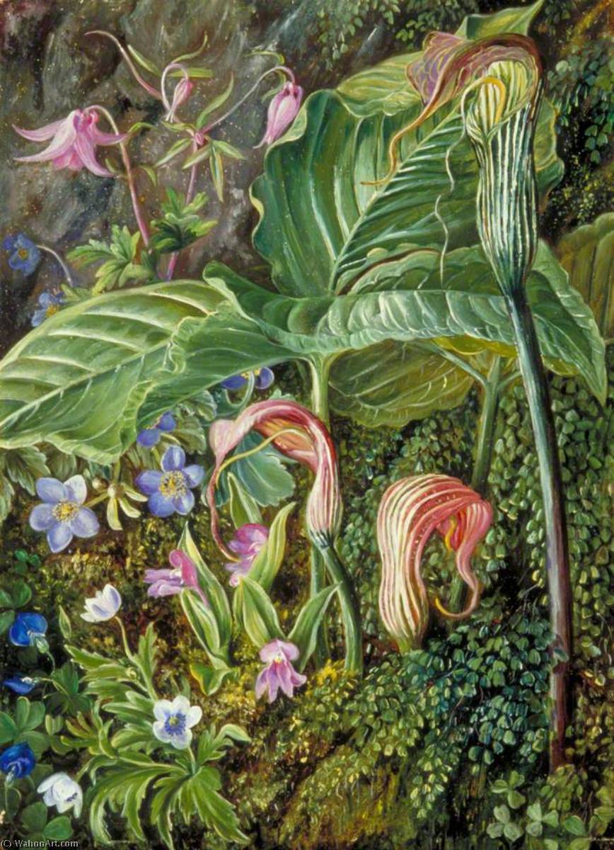 WikiOO.org - Enciclopédia das Belas Artes - Pintura, Arte por Marianne North - Himalayan Flowers Embedded in Maidenhair Fern