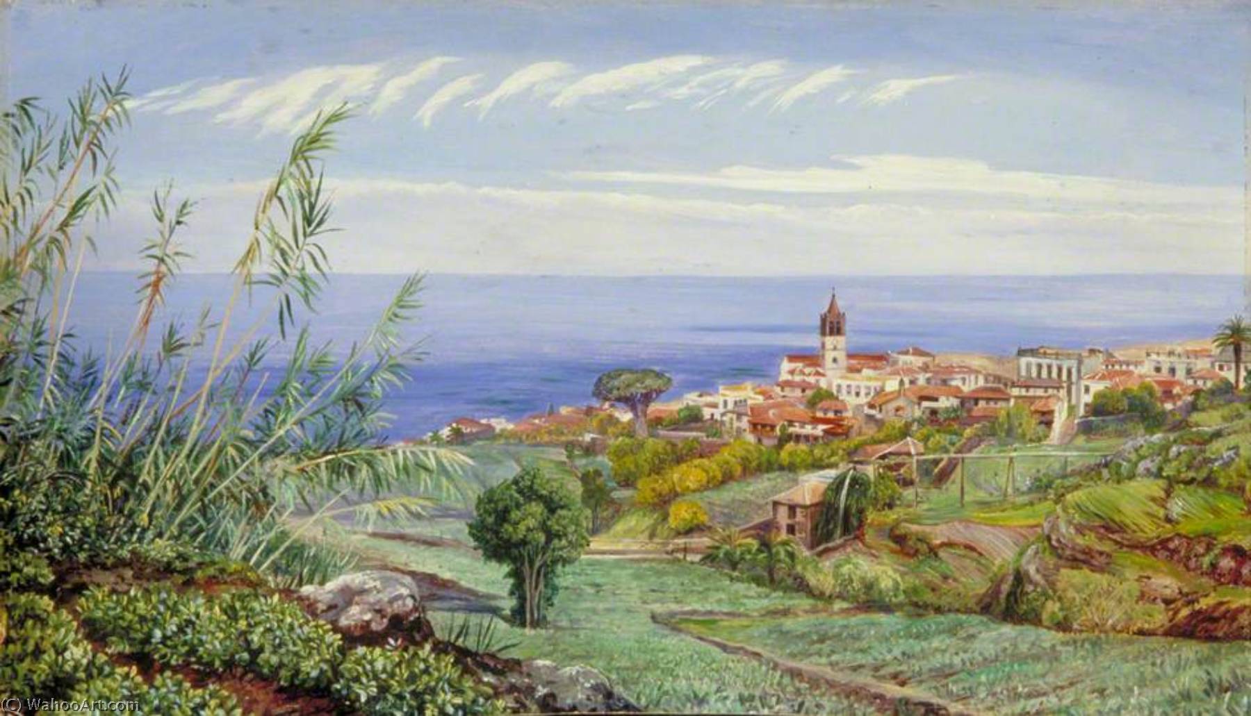 Wikioo.org - The Encyclopedia of Fine Arts - Painting, Artwork by Marianne North - View of Icod, Teneriffe