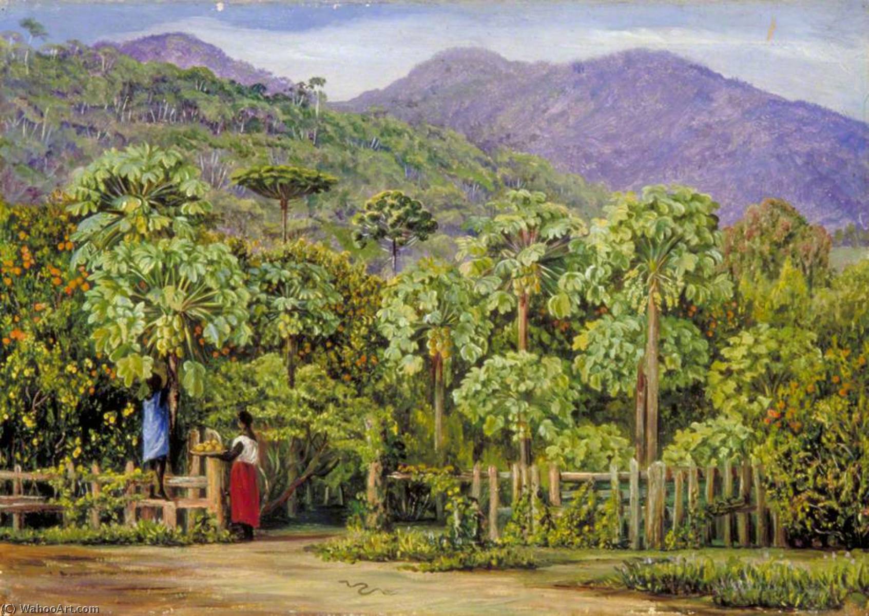 WikiOO.org - Encyclopedia of Fine Arts - Schilderen, Artwork Marianne North - Pawpaw Trees at Gongo, Brazil