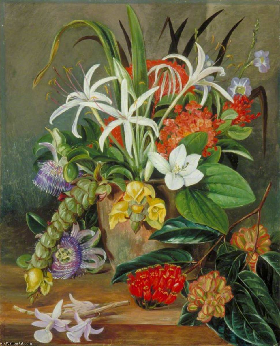 WikiOO.org - Енциклопедия за изящни изкуства - Живопис, Произведения на изкуството Marianne North - Group of Cultivated Flowers