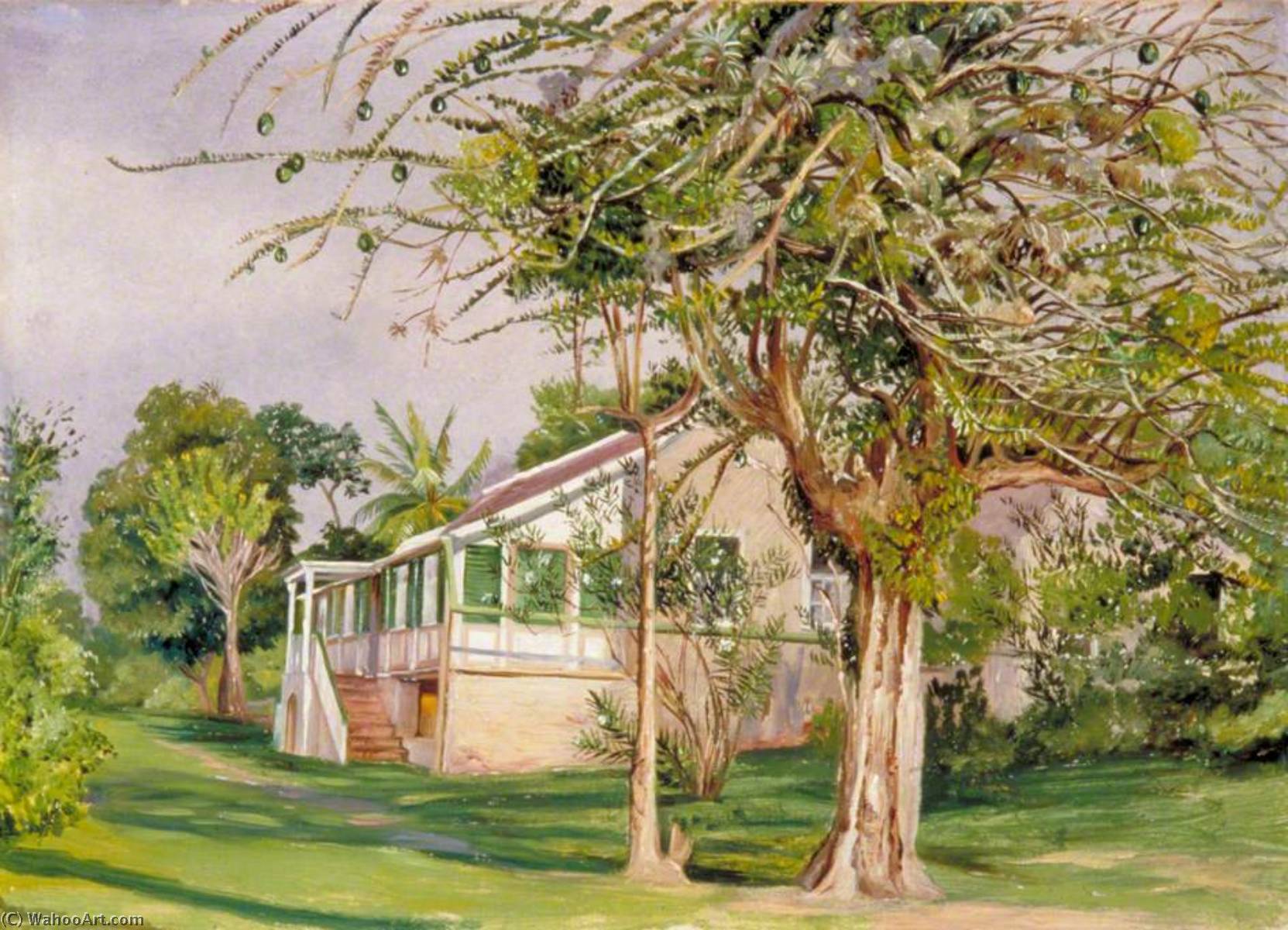 WikiOO.org - אנציקלופדיה לאמנויות יפות - ציור, יצירות אמנות Marianne North - Bermuda Mount, Jamaica