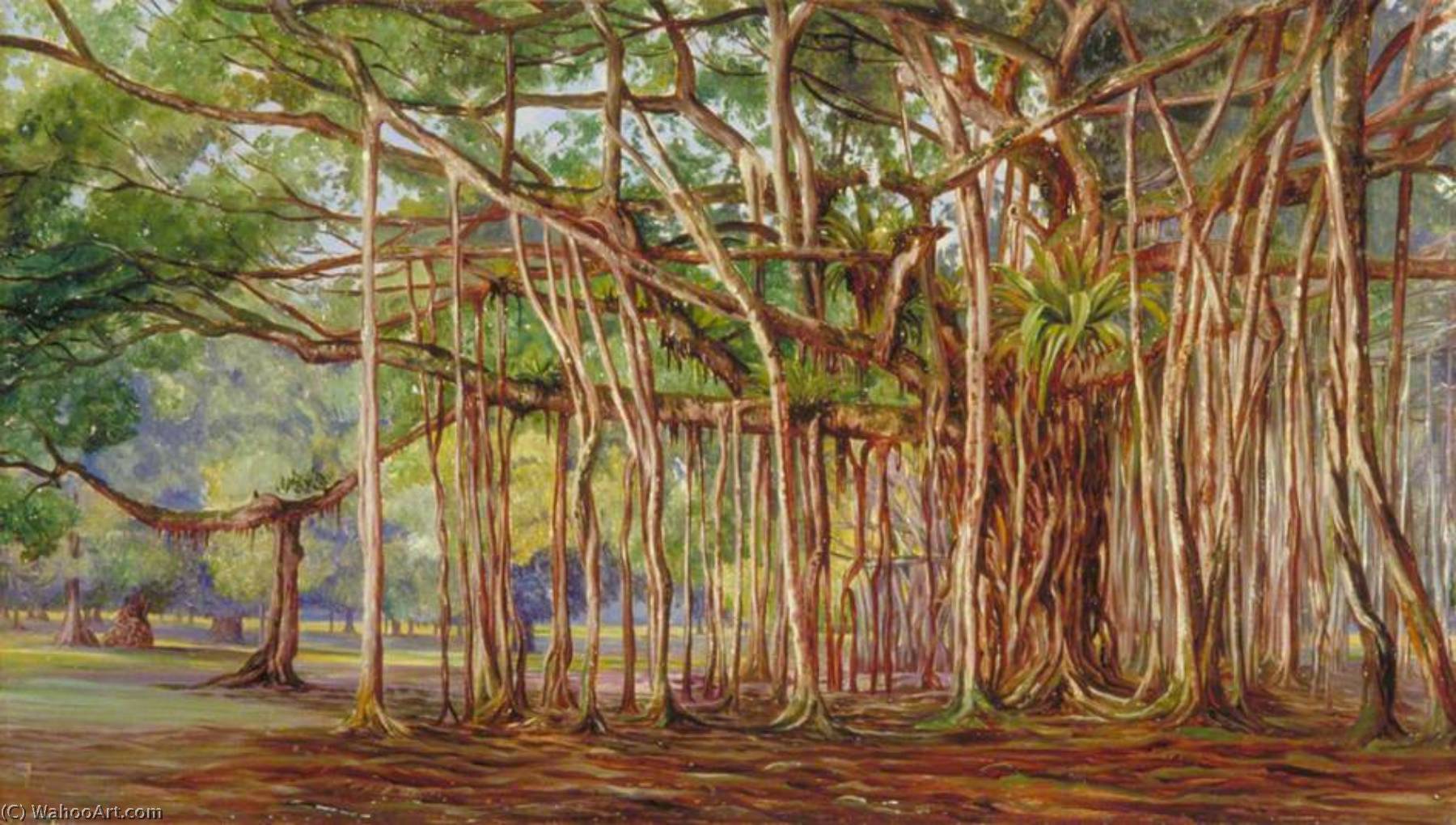 WikiOO.org - Encyclopedia of Fine Arts - Lukisan, Artwork Marianne North - Banyan Trees at Buitenzorg, Java