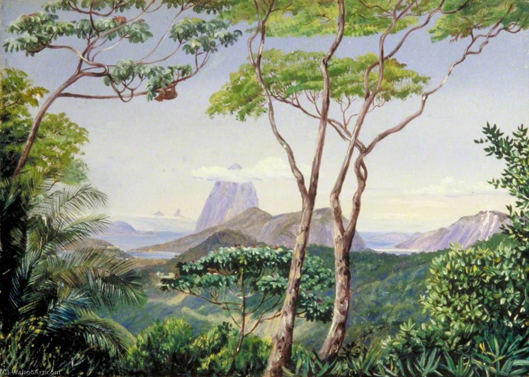 Wikioo.org - The Encyclopedia of Fine Arts - Painting, Artwork by Marianne North - View of the Sugarloaf Mountain from the Aqueduct Road, Rio Janeiro