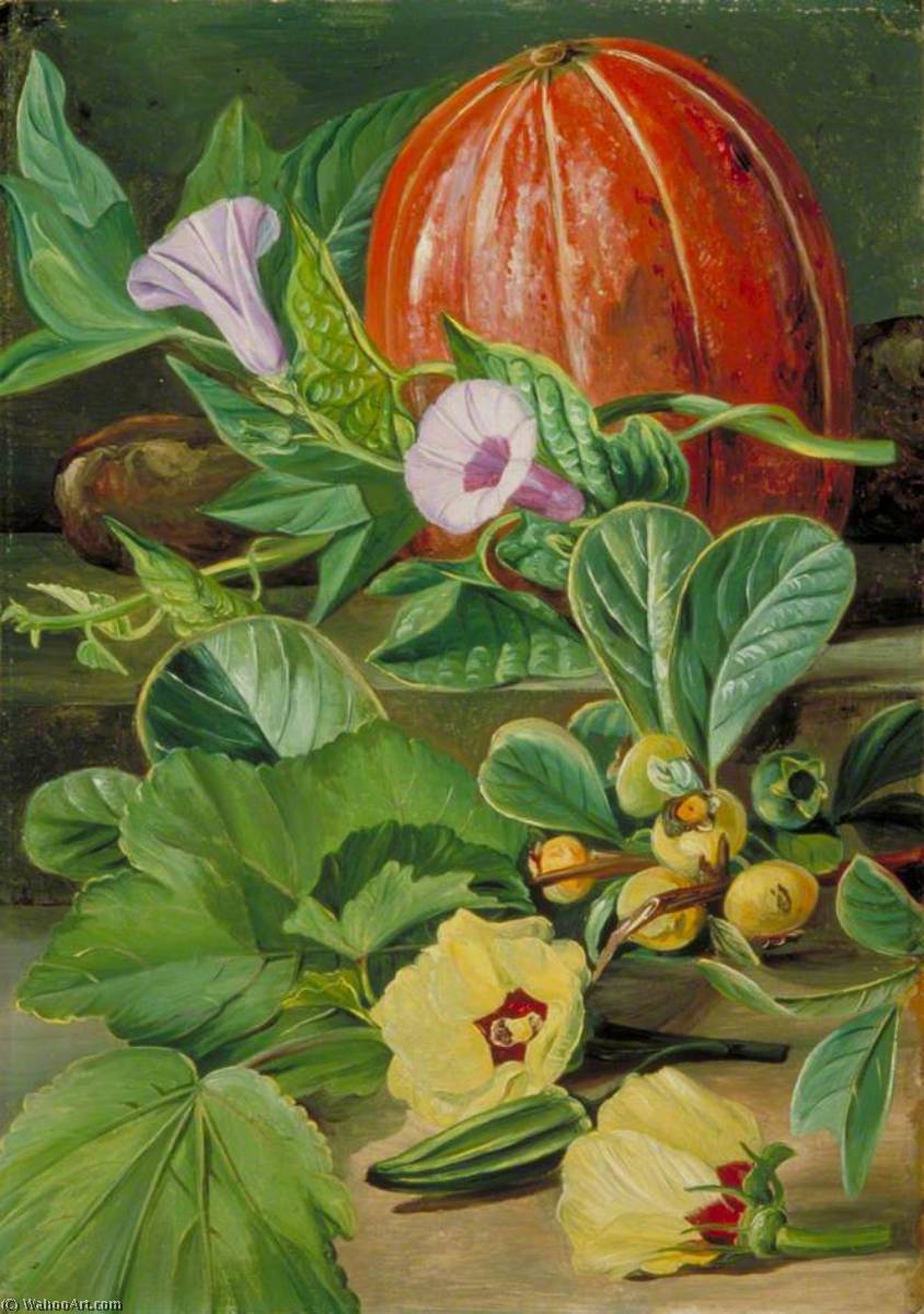 Wikioo.org – L'Encyclopédie des Beaux Arts - Peinture, Oeuvre de Marianne North - certains Fruits et  légumes  utilisés  dans  Brésil
