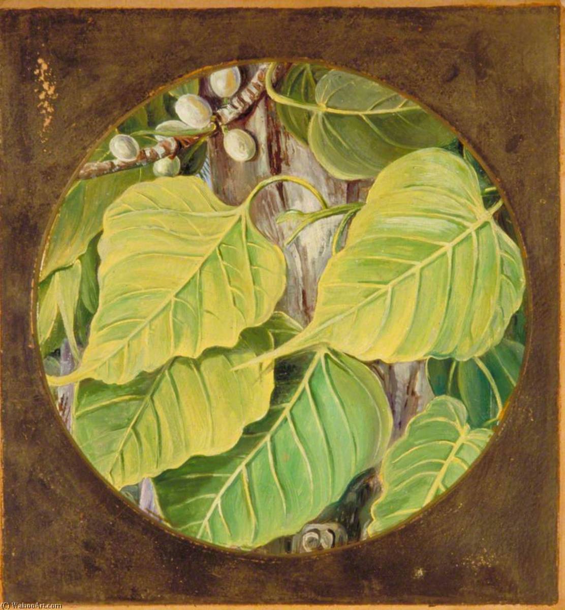 Wikioo.org - The Encyclopedia of Fine Arts - Painting, Artwork by Marianne North - Peepul or Bo