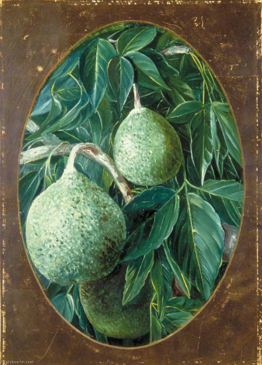 WikiOO.org - دایره المعارف هنرهای زیبا - نقاشی، آثار هنری Marianne North - The Bael Fruit