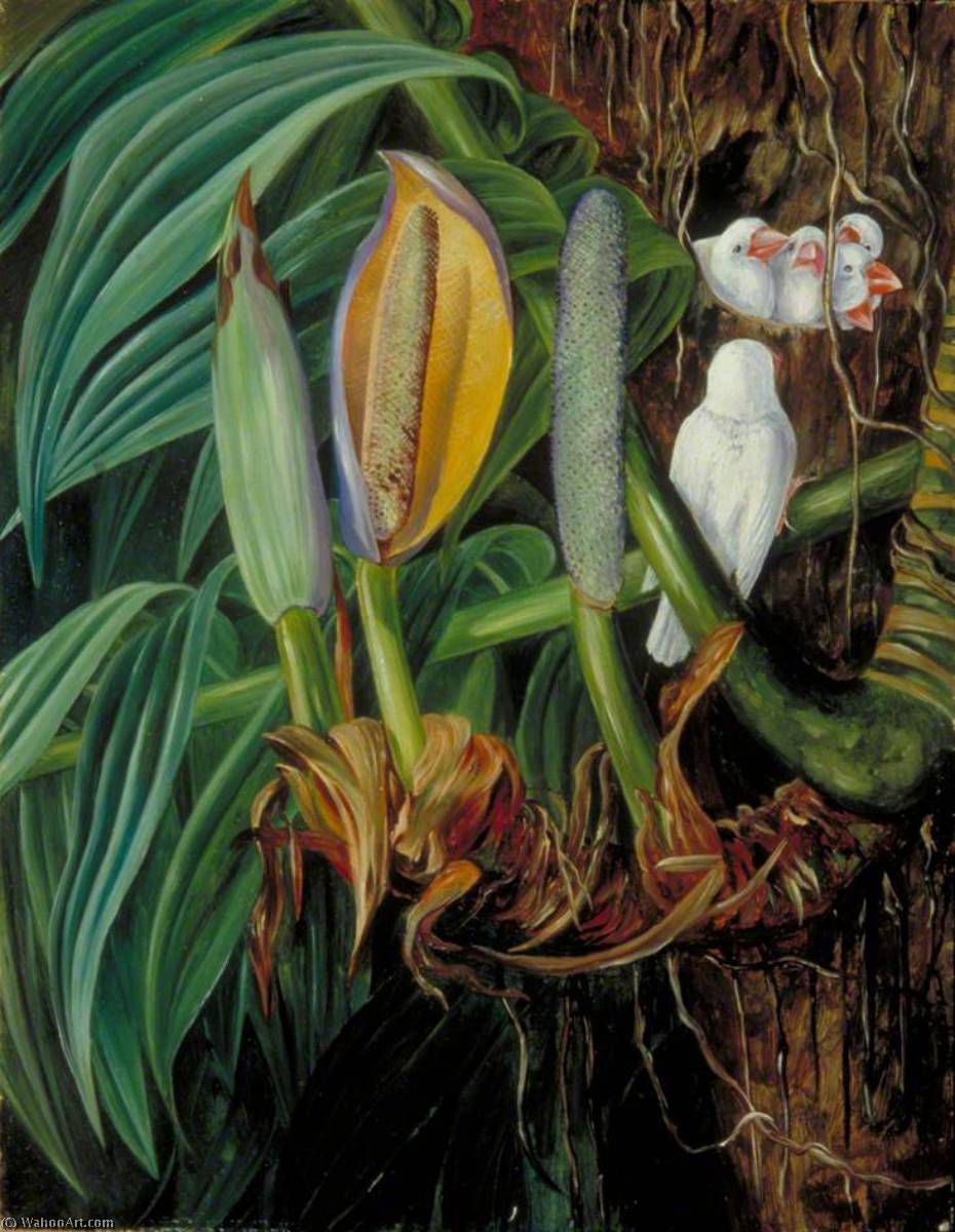 WikiOO.org - Enciklopedija dailės - Tapyba, meno kuriniai Marianne North - Climbing Aroid and a Nest of White Sparrows, Java