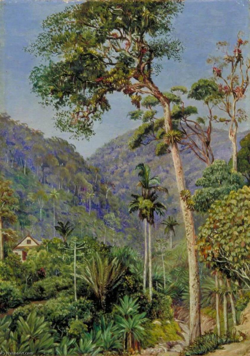 WikiOO.org - Encyclopedia of Fine Arts - Maleri, Artwork Marianne North - Glimpse of Mr Weilhorn's House at Petropolis, Brazil