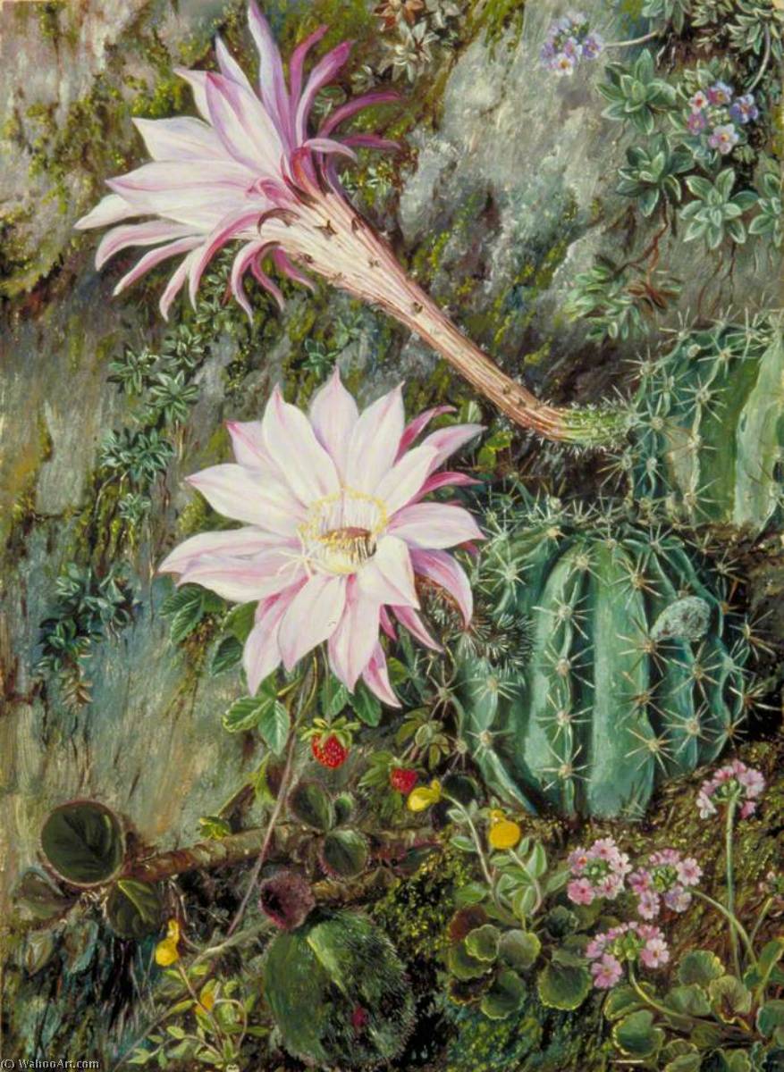 WikiOO.org - Enciklopedija dailės - Tapyba, meno kuriniai Marianne North - Wild Flowers of Mussooree, India