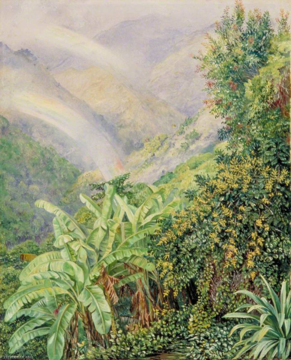 Wikioo.org - The Encyclopedia of Fine Arts - Painting, Artwork by Marianne North - View of the Artist's House in Jamaica with a Double Rainbow