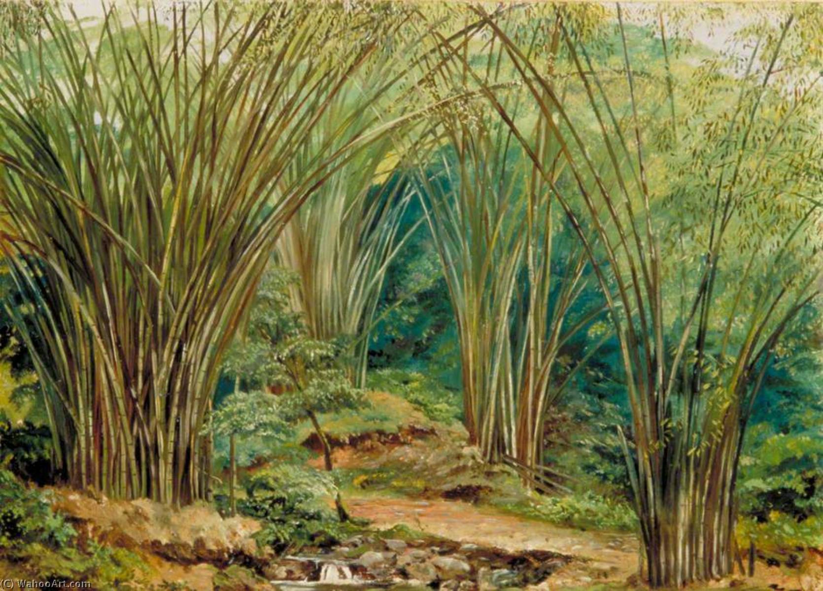 Wikioo.org – L'Enciclopedia delle Belle Arti - Pittura, Opere di Marianne North - valle del bambù  vicino  bagno  Giamaica