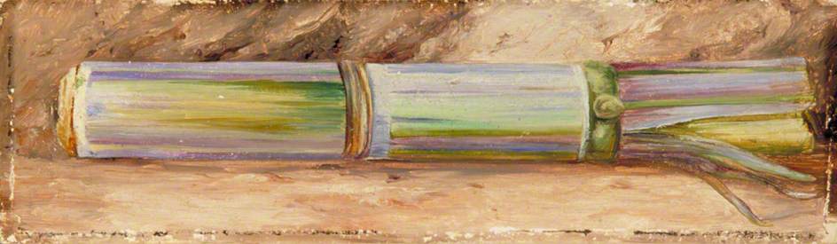 Wikioo.org - The Encyclopedia of Fine Arts - Painting, Artwork by Marianne North - A Piece of Sugar Cane