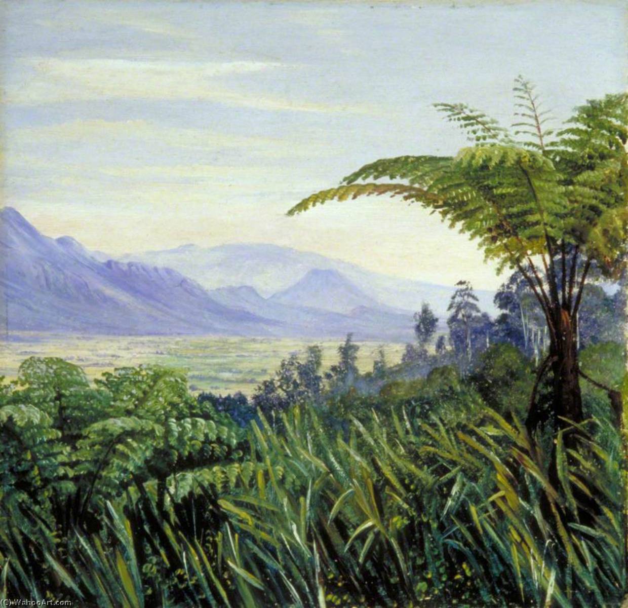 Wikioo.org - The Encyclopedia of Fine Arts - Painting, Artwork by Marianne North - Tree Fern in the Preanger Mountains, Java