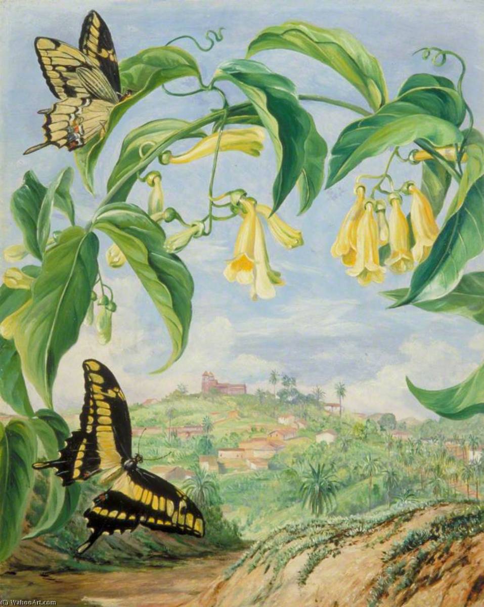 Wikioo.org - The Encyclopedia of Fine Arts - Painting, Artwork by Marianne North - Yellow Bignonia and Swallow Tail Butterflies with a View of Congonhas, Brazil