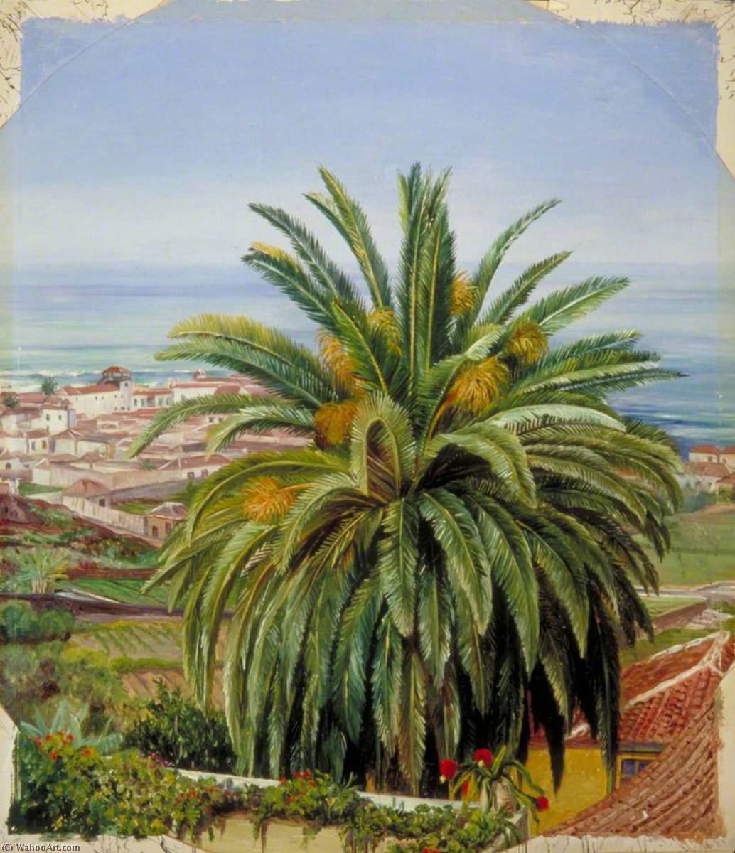 Wikioo.org - The Encyclopedia of Fine Arts - Painting, Artwork by Marianne North - View of Puerto de Orotava, Teneriffe, from Sitio del Pardo