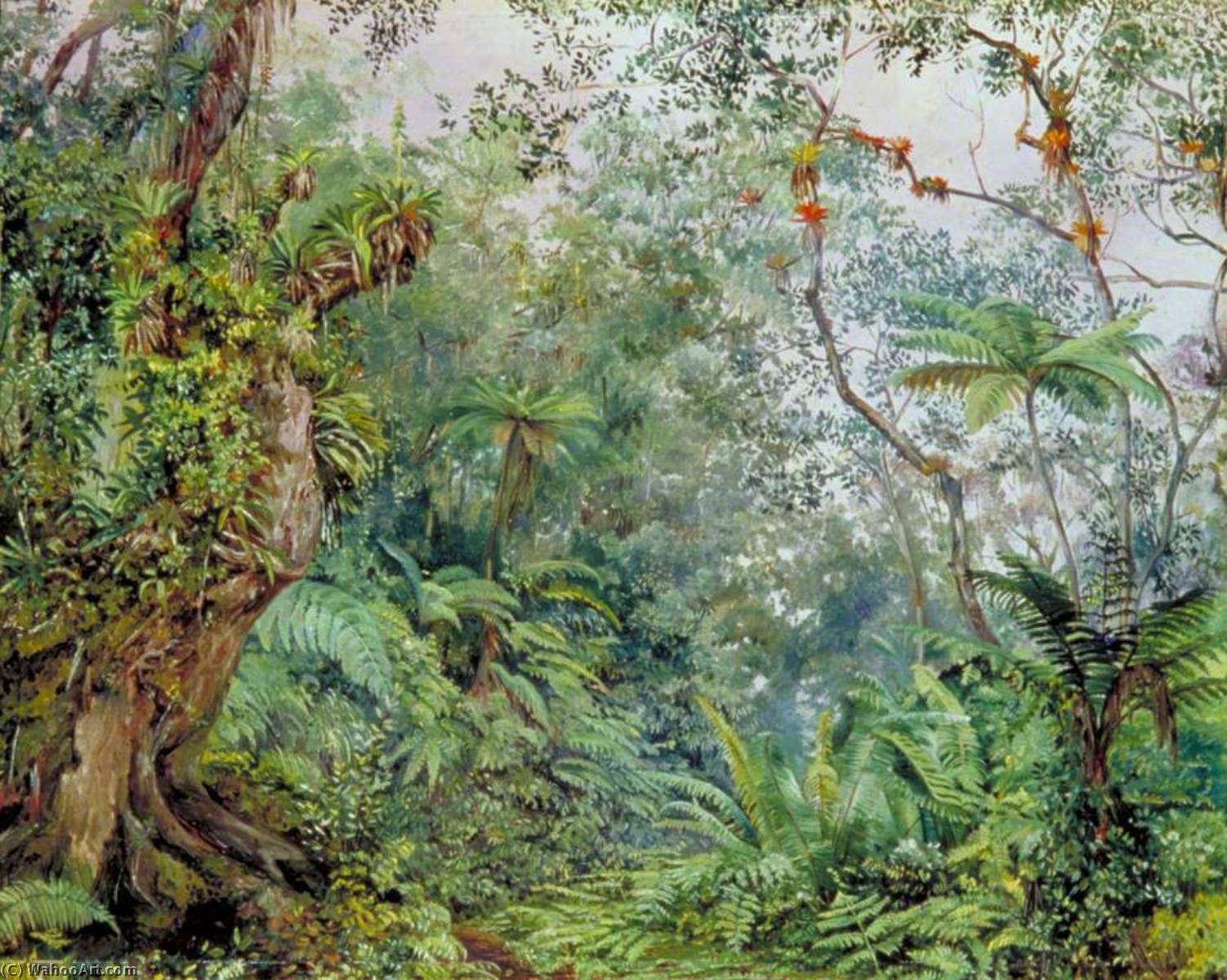 Wikioo.org - The Encyclopedia of Fine Arts - Painting, Artwork by Marianne North - View of the Fernwalk, Jamaica