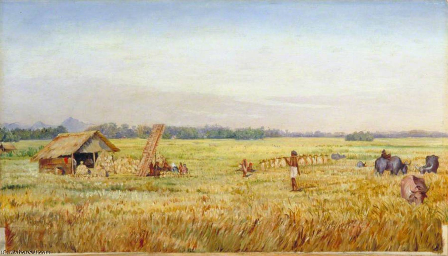 Wikioo.org - The Encyclopedia of Fine Arts - Painting, Artwork by Marianne North - Rice Harvest near Bandong, Java