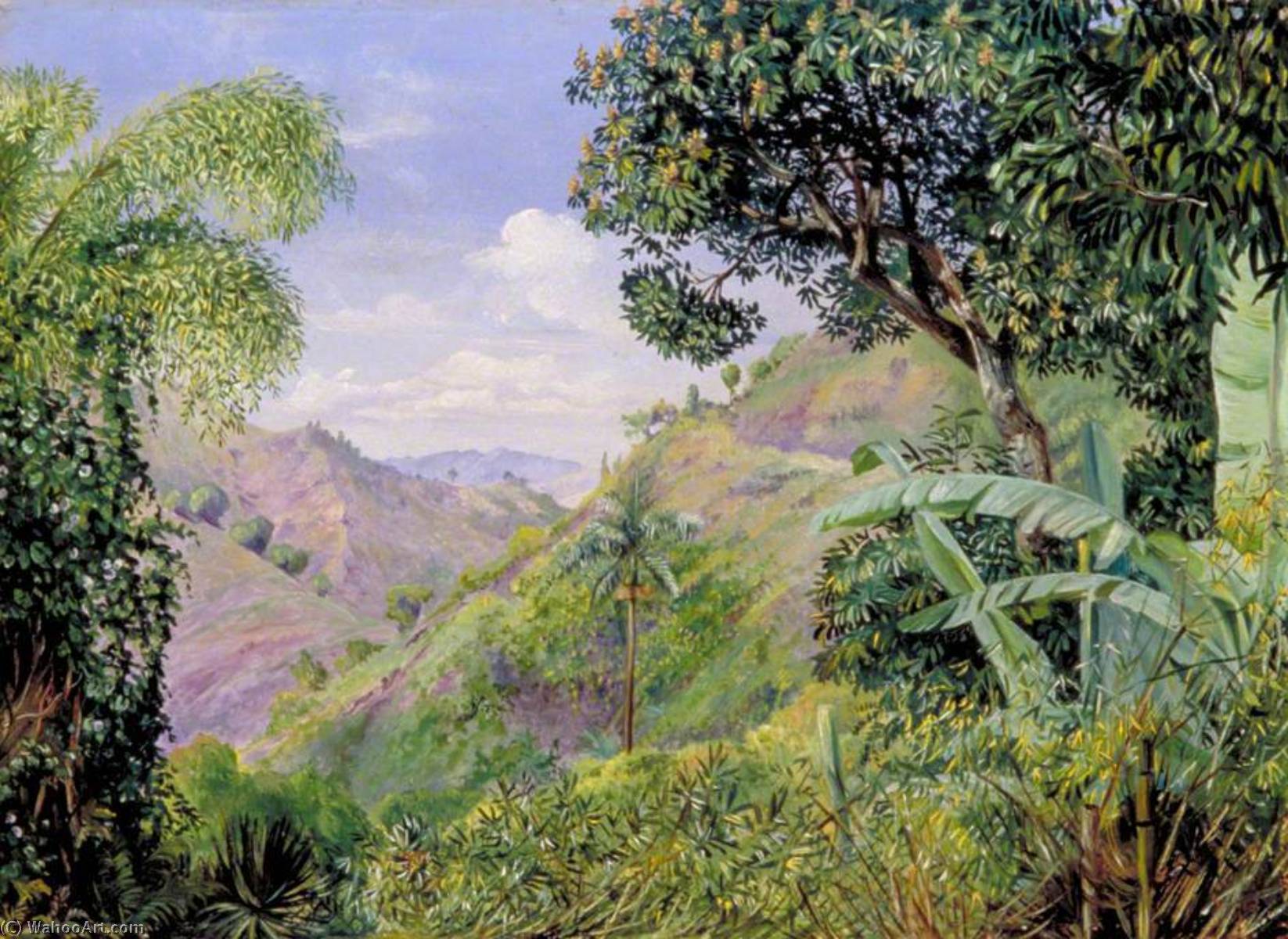 Wikioo.org - The Encyclopedia of Fine Arts - Painting, Artwork by Marianne North - View on the Flamsted Road, Jamaica