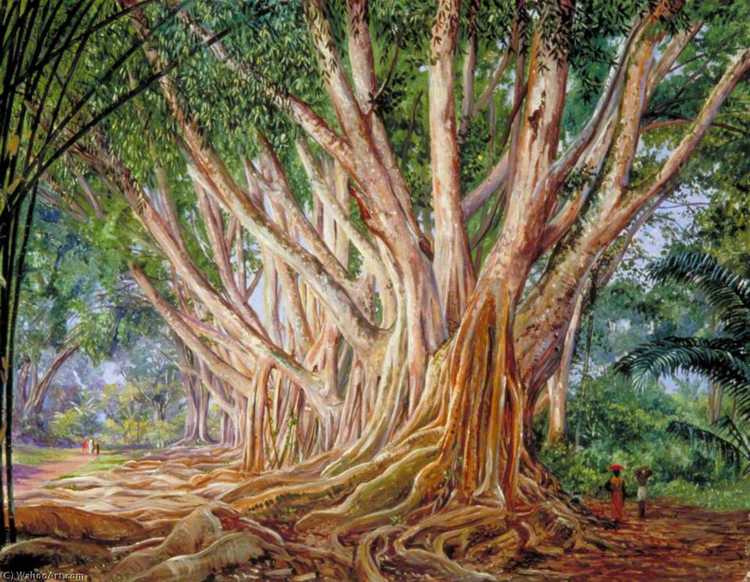 Wikioo.org – L'Enciclopedia delle Belle Arti - Pittura, Opere di Marianne North - Viale di Granturco Gomma Alberi a peradeniya , Ceylon